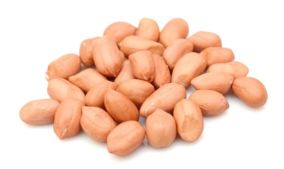 Groundnut